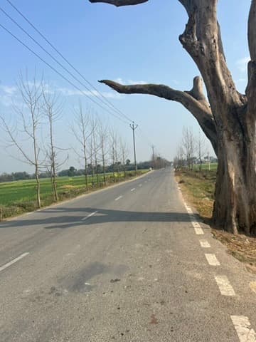 A road that mostly waits — Thahar · Muzaffarpur